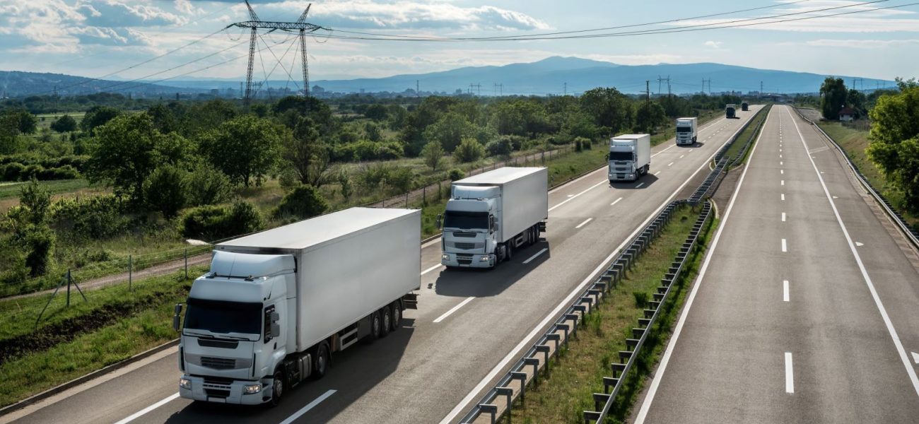 WhatsApp Image 2024-07-31 at 01.05.17_3e2e9389